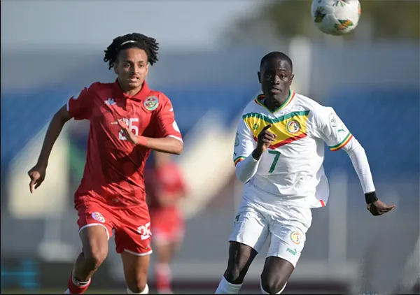 Le Match – Après avoir arraché le nul (0-0) : La Tunisie retarde la qualif’ des Lionceaux