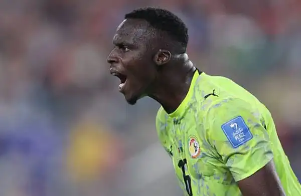 Echec des Lions : Edouard Mendy tacle la Fédération