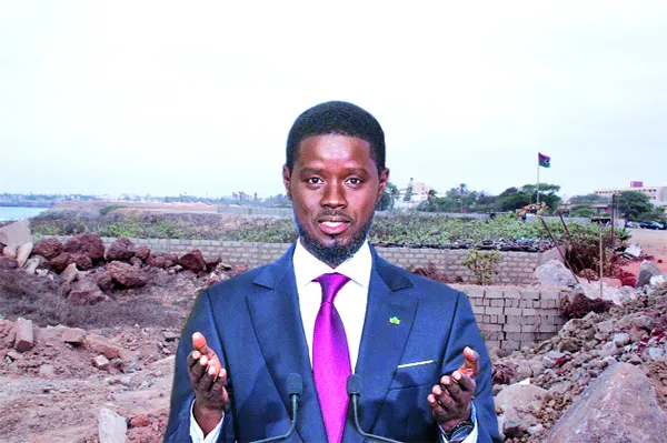 Suspension of Property and Land Procedures: Victims in a Dire State