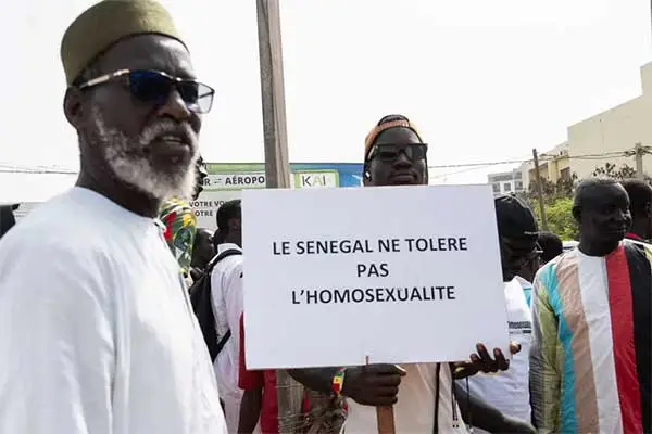 Homosexualité au Sénégal : quand la passion aveugle remplace la réflexion – L’éclairage méconnu de la tradition chiite