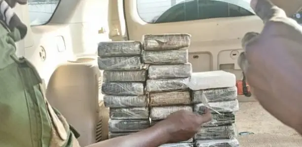 25 Kg of Cocaine Seized in Kaolack