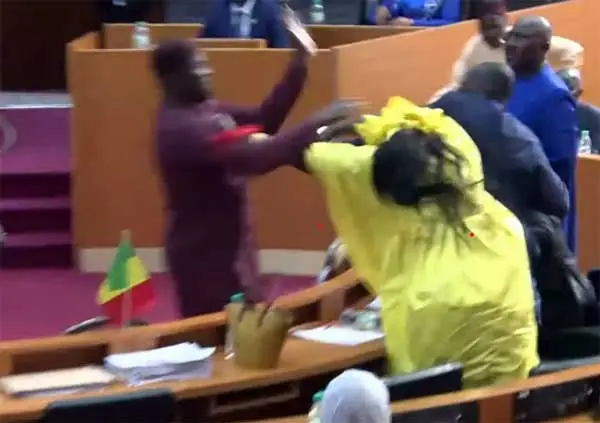 Violence at the Hemicycle: Amy Ndiaye Gniby Files a Complaint