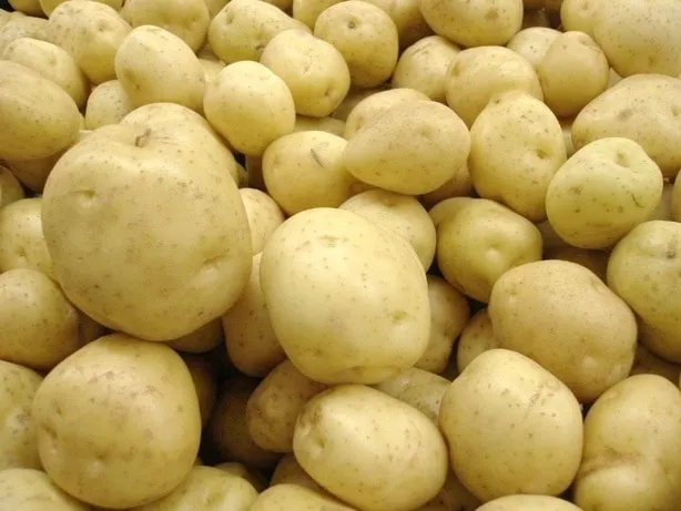 Le Sénégal a dépassé les 130 000 tonnes de pomme de terre depuis la campagne maraîchère 2018/2019