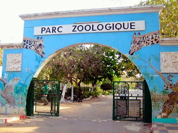 Réhabilitation du Parc zoologique de Hann : Un investissement stratégique urbain et environnemental