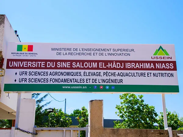 Haro sur le lobbying, le copinage et le népotisme qui entourent le recrutement du Personnel d’enseignement et de recherche (Per) à l’Université : exemple du département de Tourisme, hôtellerie, gastronomie et restauration (Thgr) de l’Université du Si