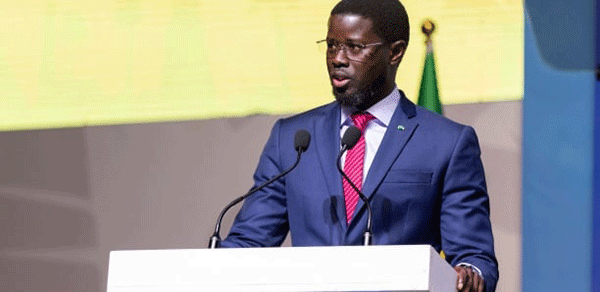 Lettre ouverte au Président Bassirou Diomaye Diakhar Faye sur la face cachée de la crise de l’horticulture au Sénégal