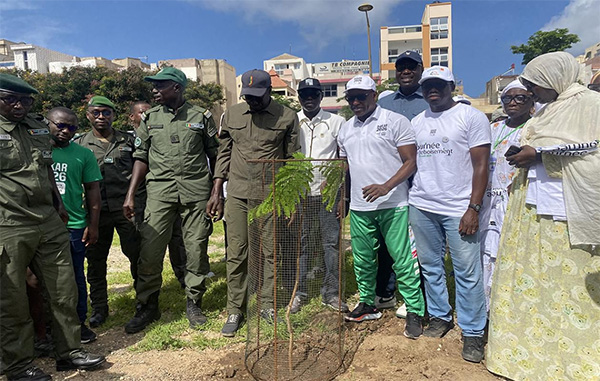 Dakar 2026 : Le Cojoj va planter 100 000 arbres pour les Joj