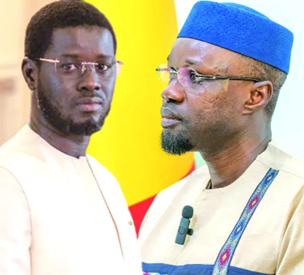 Cinq ans pour agir, pas pour consulter : le rappel au duo Diomaye-Sonko